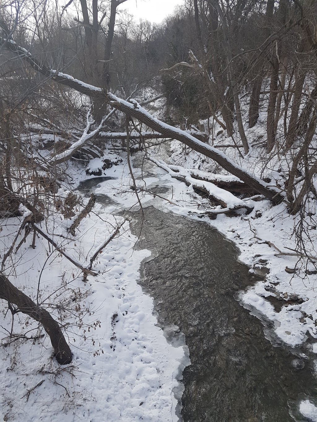 Cedar Valley Conservation Area | 1655 Canadore Crescent, Oshawa, ON L1G 8A6, Canada | Phone: (905) 436-3311