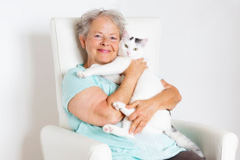 Herring Cove Veterinary Hospital | 751 Herring Cove Rd, Halifax, NS B3R 1Y9, Canada | Phone: (902) 455-7292