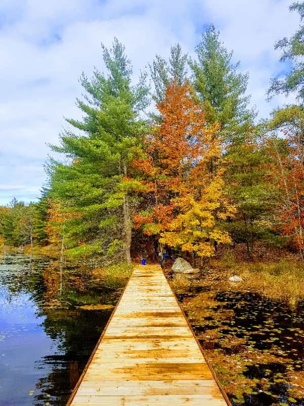 YMCA Camp Pine Crest | 1090 Gullwing Lake Rd, Torrance, ON P0C 1M0, Canada | Phone: (877) 878-9622