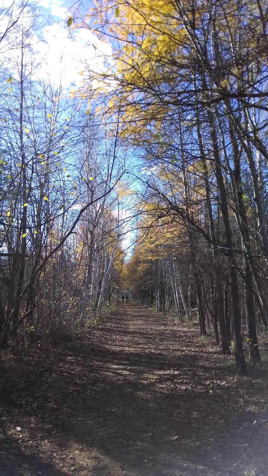 Lime Kiln Trail | Moodie Dr, Nepean, ON K2R 1H3, Canada