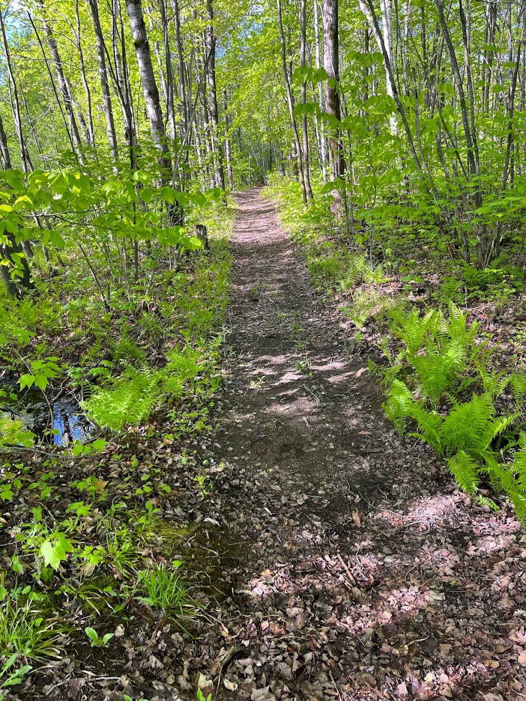 Domaine linsolite | Rue de la Poudrière, Shawinigan, QC G0X 1L0, Canada | Phone: (418) 476-0970