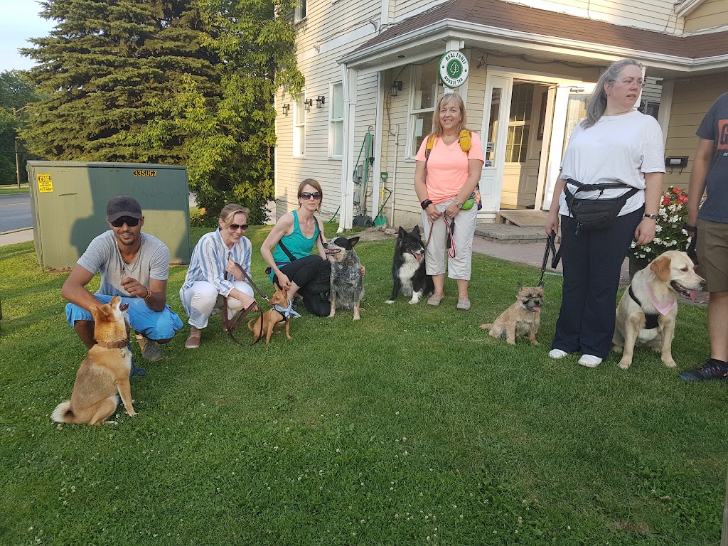 Canine Campus Training Centre | 1 Laidlaw Blvd, Markham, ON L3P 1W5, Canada | Phone: (905) 477-8092