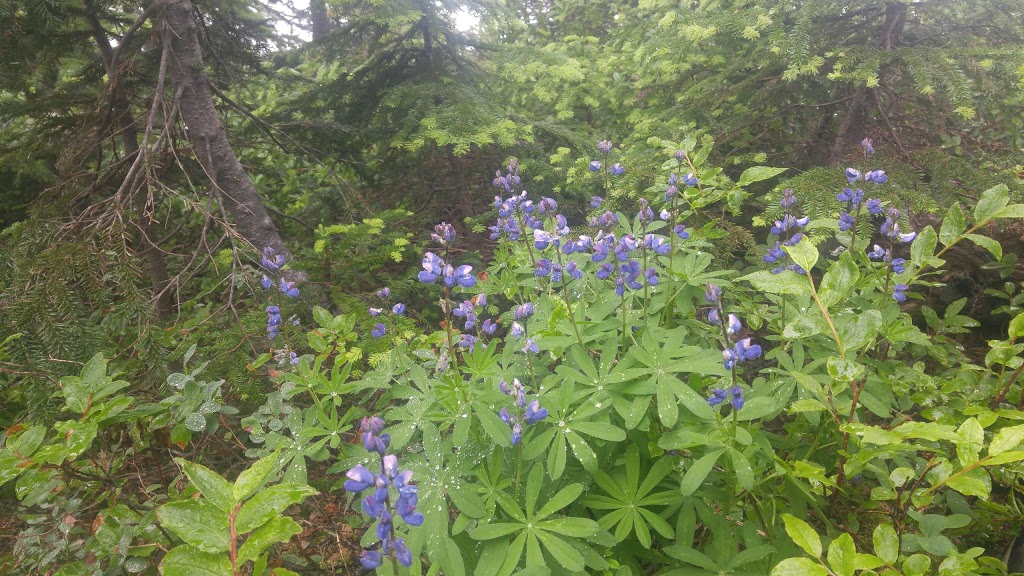 Liumchen Ecological Reserve | Rosedale, BC V0X 1X0, Canada | Phone: (800) 689-9025