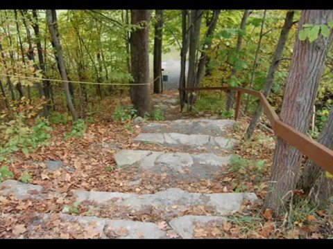 Greensides Farm | 15 Greenside Ln, Marmora, ON K0K 2M0, Canada | Phone: (613) 472-3715