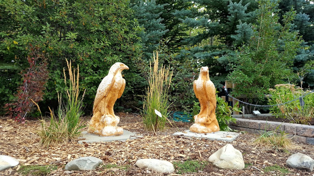 BP Birthplace Forest | Silver Springs, Calgary, AB T3B 4N3, Canada