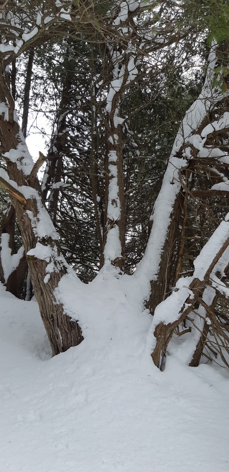 Nodwell Park | 788 Highland St, Port Elgin, ON N0H 2C2, Canada | Phone: (519) 832-2008