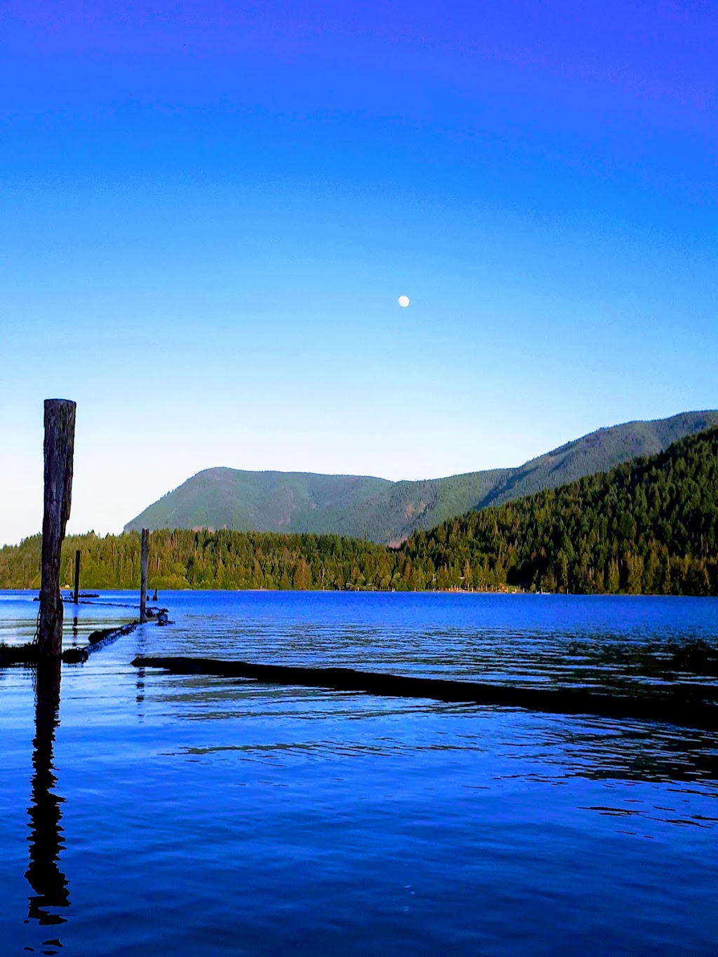 Nantree Park | Nantree Rd, Meades Creek Rd, Youbou, BC V0R 1Y0, Canada | Phone: (250) 746-2620