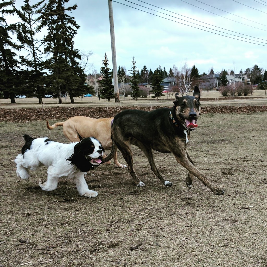 River Park | Southwest Calgary, Calgary, AB T2T, Canada | Phone: (403) 268-2489