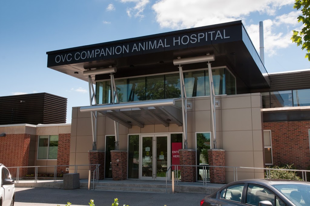 OVC Companion Animal Hospital | 28 College Ave W, Guelph, ON N1G 2W1, Canada | Phone: (519) 823-8830
