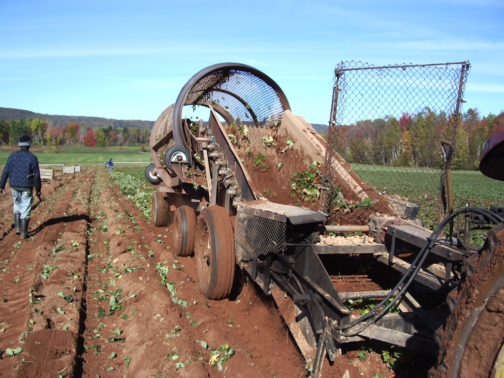 G W Allen Nursery Ltd | 7295 NS-221, Centreville, NS B0P 1J0, Canada | Phone: (902) 678-7519