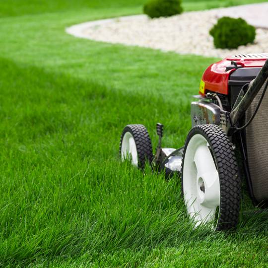 JP Property Maintenance | 17 Desjardins Terrace, St. Albert, AB T8N 5T9, Canada | Phone: (780) 289-3116
