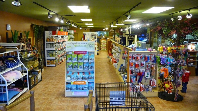 Oasis Animale | 192 QC-138, Donnacona, QC G3M 1C2, Canada | Phone: (418) 285-2356