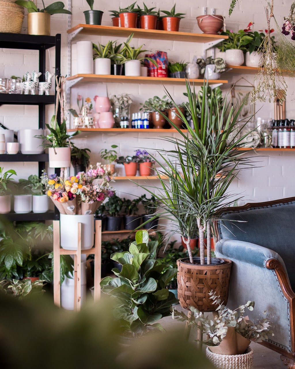 Studio Foliage | 49a Ave Donegani, Pointe-Claire, QC H9R 2V8, Canada | Phone: (514) 694-4620