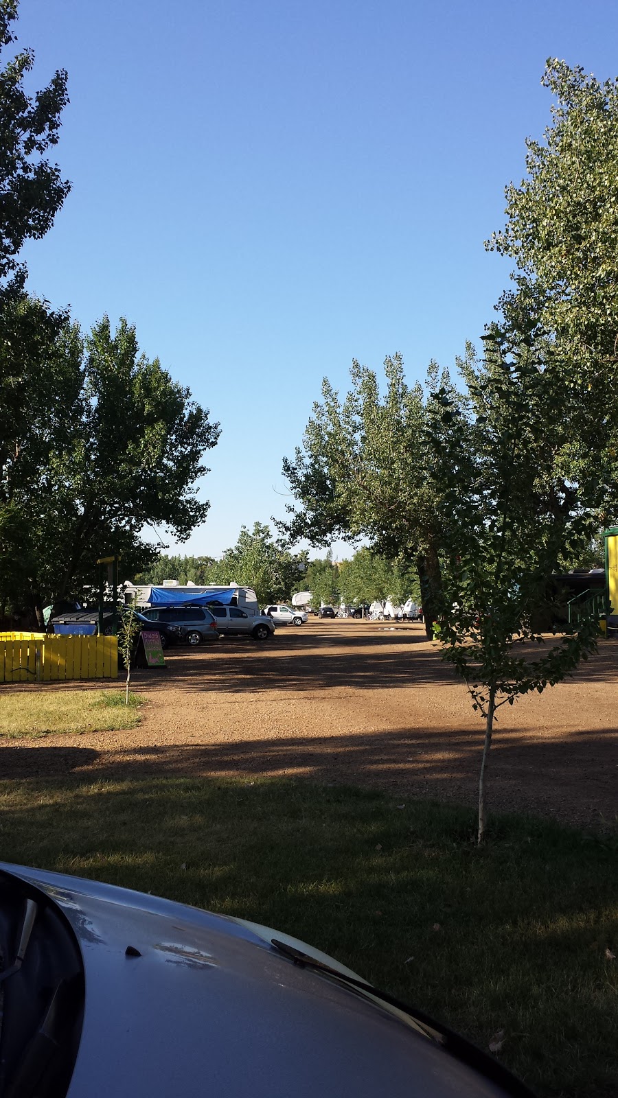 Dinos Rv Nest | 550 N Dinosaur Trail, Drumheller, AB T0J 0Y1, Canada | Phone: (403) 823-3288