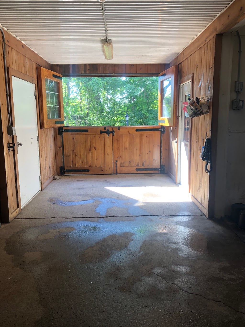 D7 Equestrian | 8285 Guelph Line, Campbellville, ON L0P 1B0, Canada | Phone: (416) 475-3754