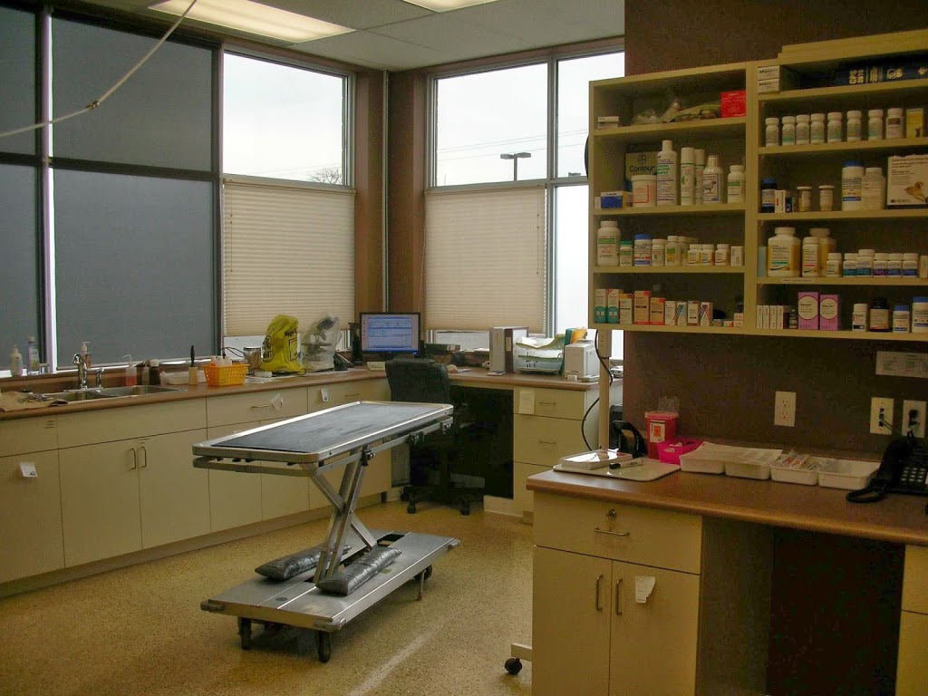 Caradoc Animal Clinic | 84 Caradoc St S, Strathroy, ON N7G 2N8, Canada | Phone: (519) 245-1001