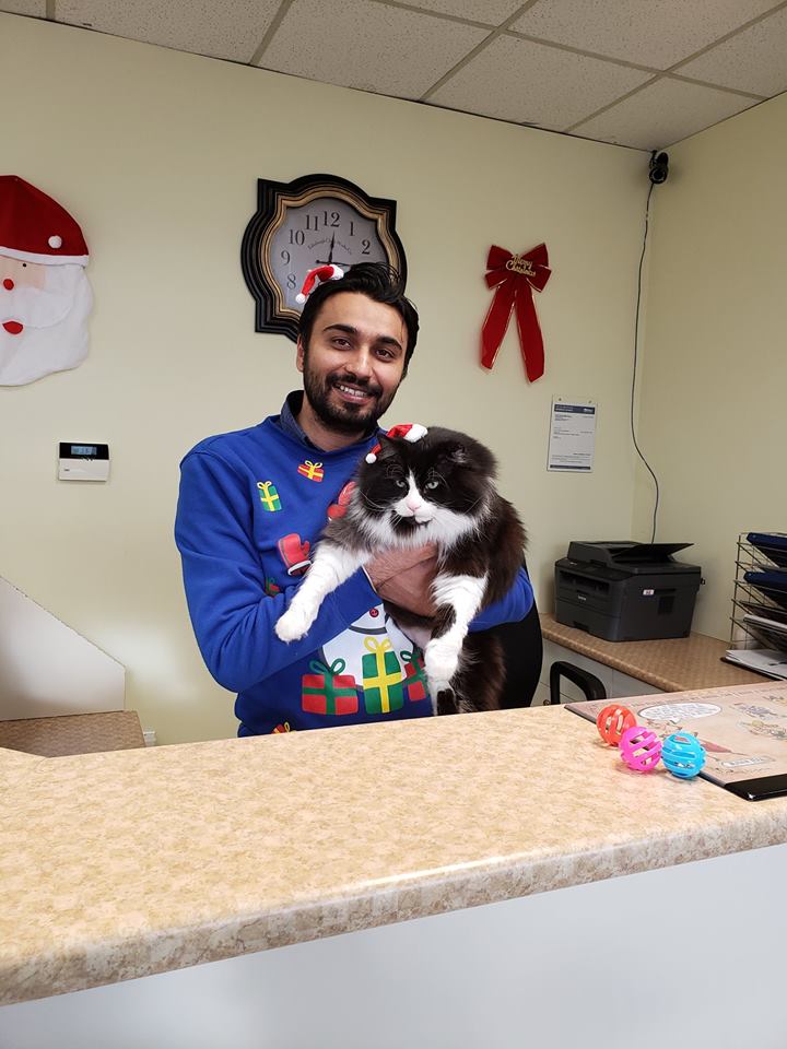 South Fraser Animal Hospital | 31813 S Fraser Way Unit # 3, Abbotsford, BC V2T 1V4, Canada | Phone: (604) 855-0770