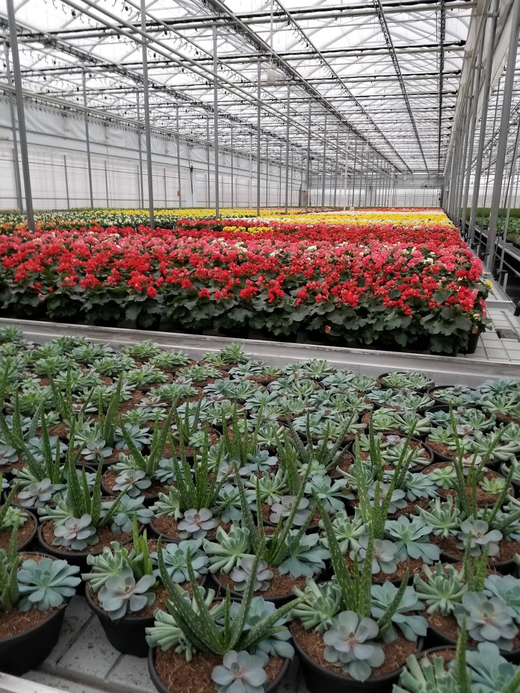 Greenfield Gardens | 700 Tice Rd, Fenwick, ON L0S 1C0, Canada | Phone: (905) 892-4223