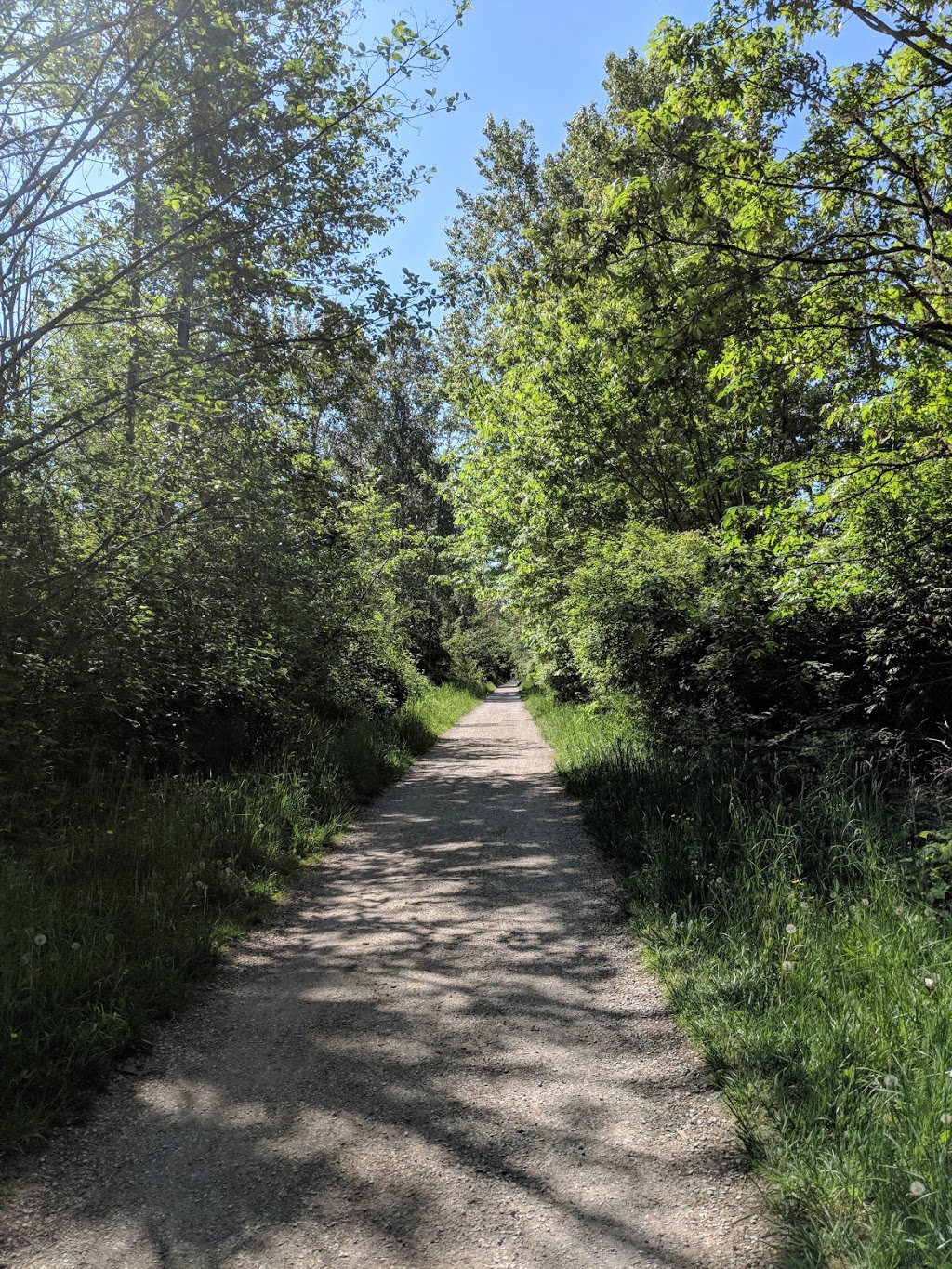 Highland Heights Park | Vining St, Bellingham, WA 98226, USA | Phone: (360) 778-8000