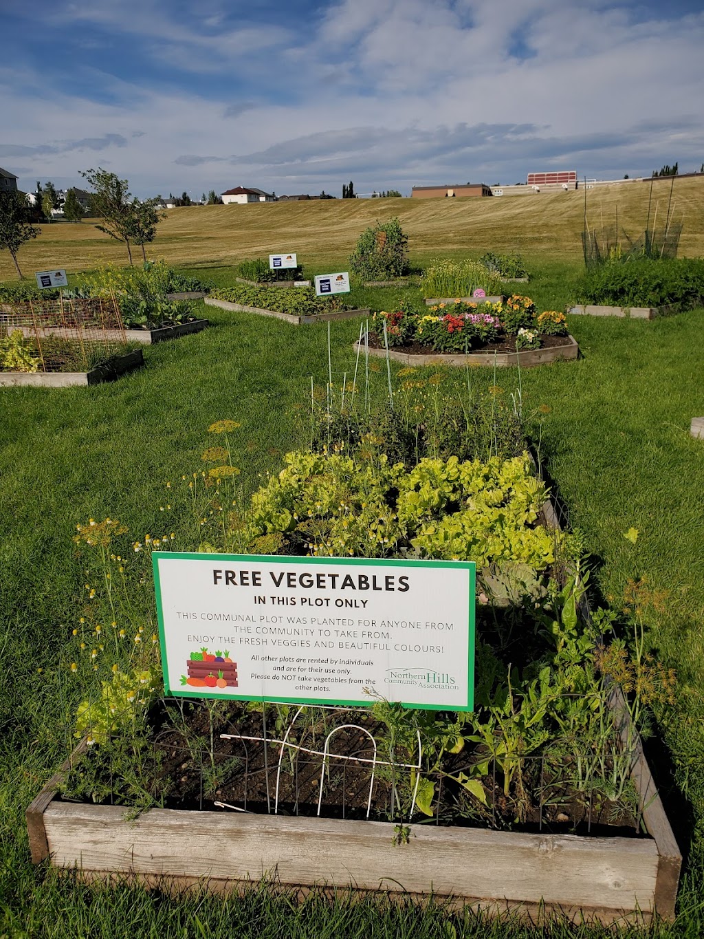 Harvest Hills Community Garden | 520 Harvest Lake Dr NE, Calgary, AB T3K 4C3, Canada | Phone: (403) 226-6422