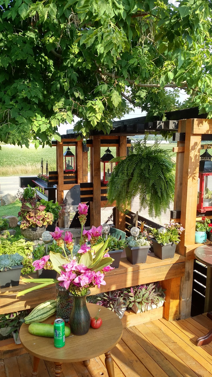 Shelley Batcules Fine Art Gallery | 4310 Bartlett Rd, Beamsville, ON L0R 1B1, Canada | Phone: (289) 219-0989