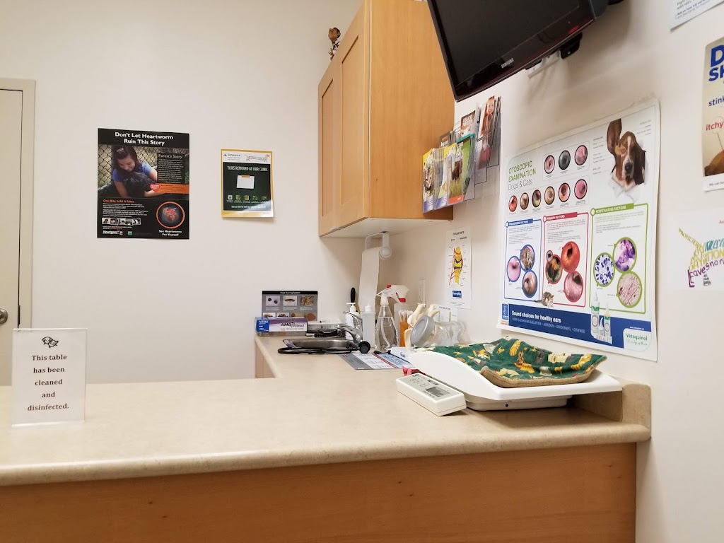 Weldrick Animal Hospital | 9580 Yonge St, Richmond Hill, ON L4C 1V6, Canada | Phone: (905) 237-7387