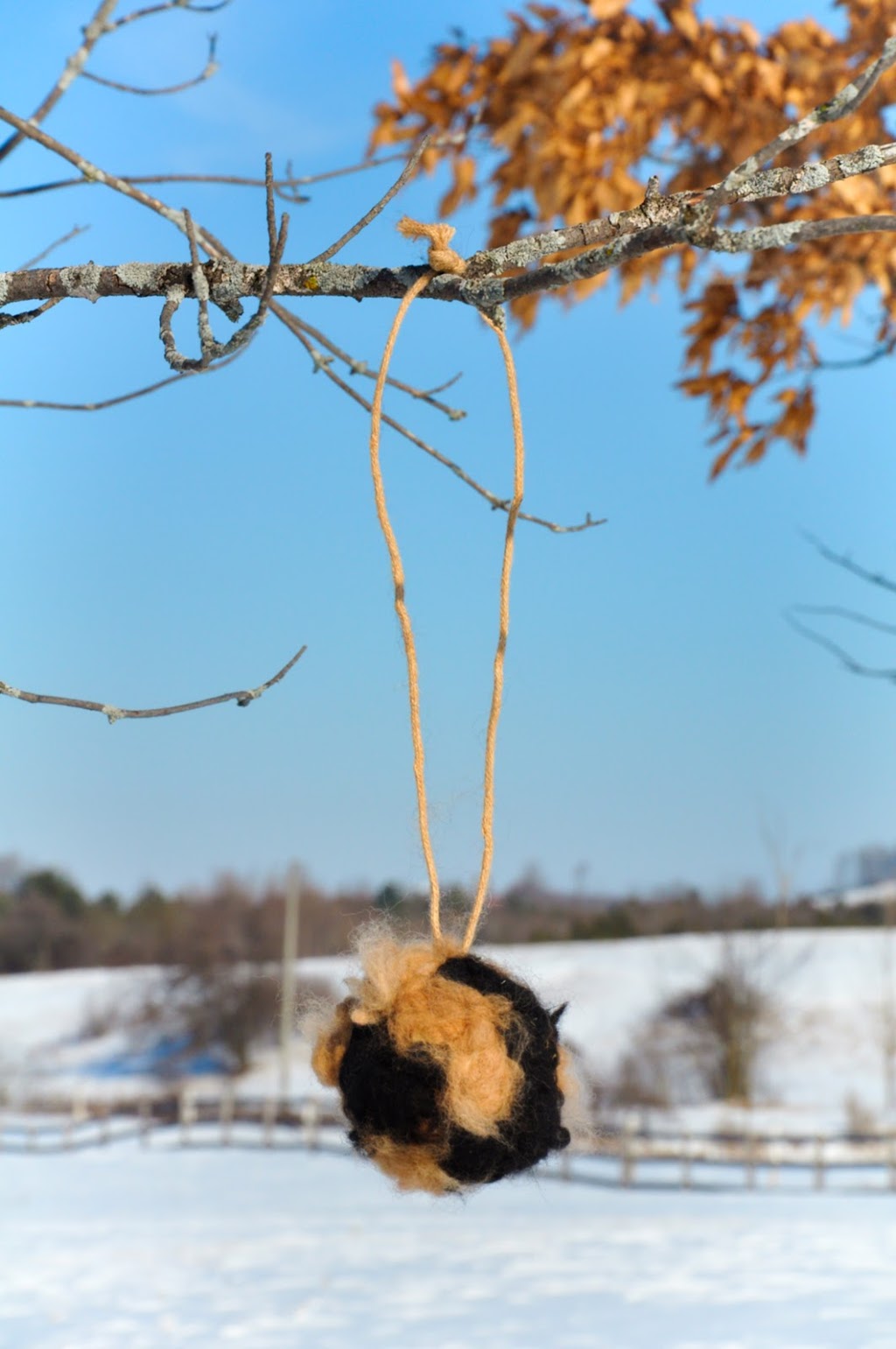 Brae Ridge Farm & Sanctuary | 7667 Maltby Rd E, Puslinch, ON N0B 2J0, Canada | Phone: (226) 924-4065