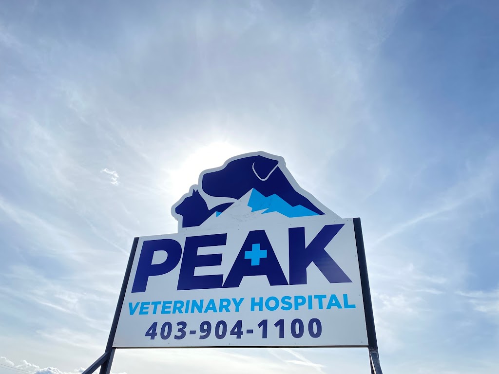 Peak Veterinary Hospital | 1340 Veterans St, Pincher Creek, AB T0K 1W0, Canada | Phone: (403) 904-1100