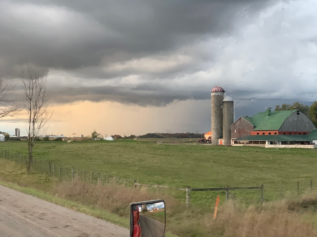 David Weber | 7531 Line 86, Wallenstein, ON N0B 2S0, Canada | Phone: (519) 698-2620