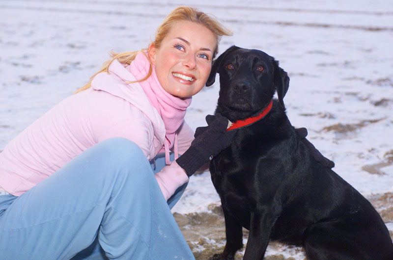 Fraser Heights Animal Hospital | 15585 104 Ave, Surrey, BC V3R 1N9, Canada | Phone: (604) 588-4161