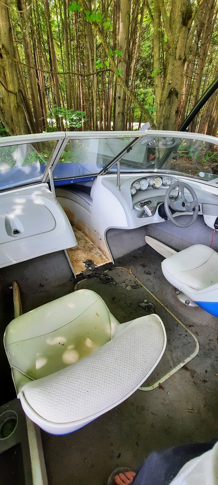Palm Tree Boat Detailing | 64 Huntington Crescent, Courtice, ON L1E 3C7, Canada | Phone: (289) 685-1601