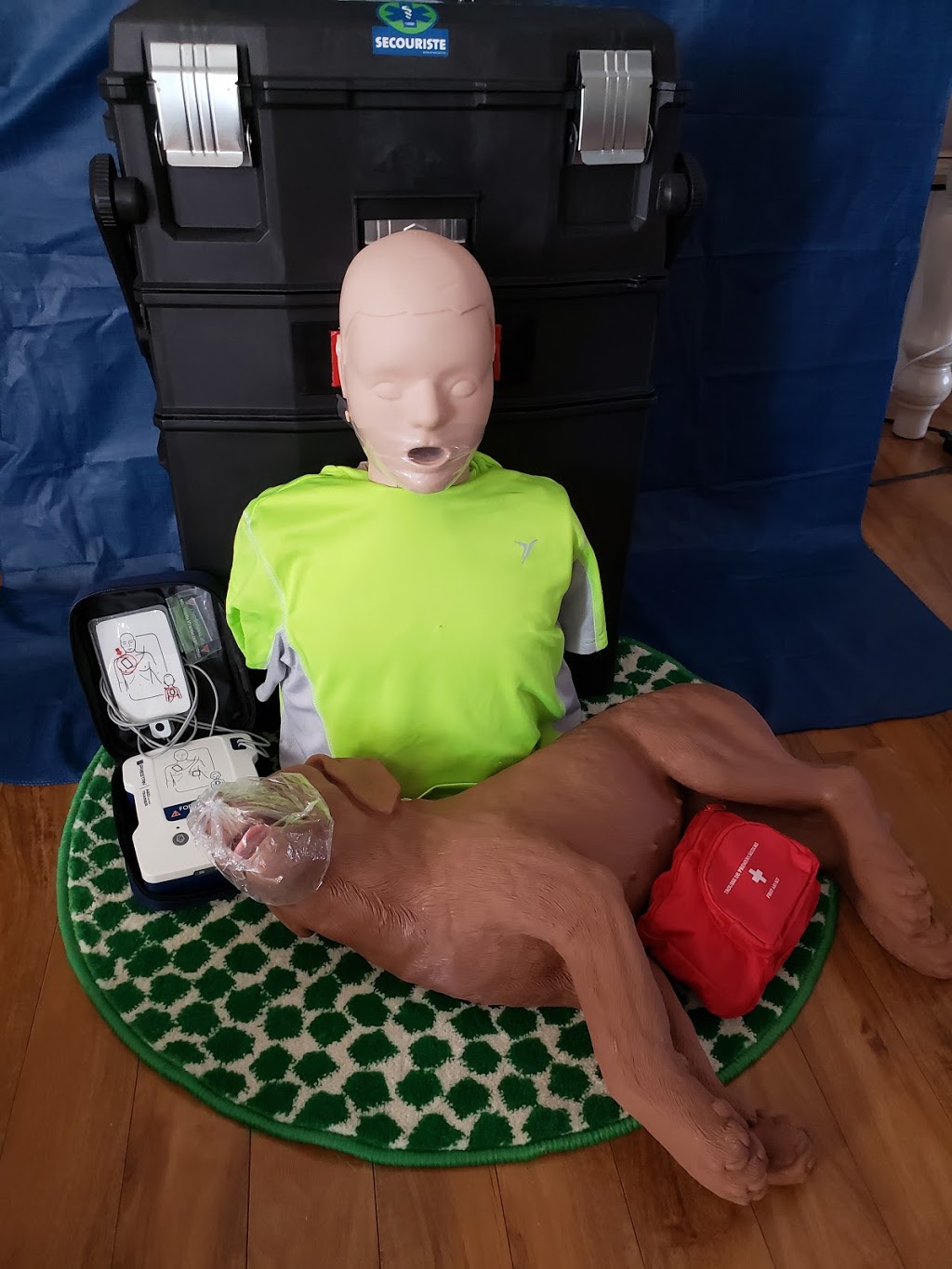 Formation multi-secours | 192 Rue Saint-Jean, Sainte-Monique, QC G0W 2T0, Canada | Phone: (418) 668-1852
