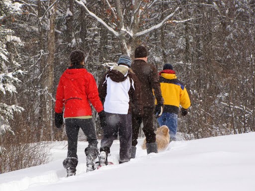 Windrush Bed and Breakfast and Holiday home. | 1784 ON-60, Huntsville, ON P1H 1A3, Canada | Phone: (705) 789-9209