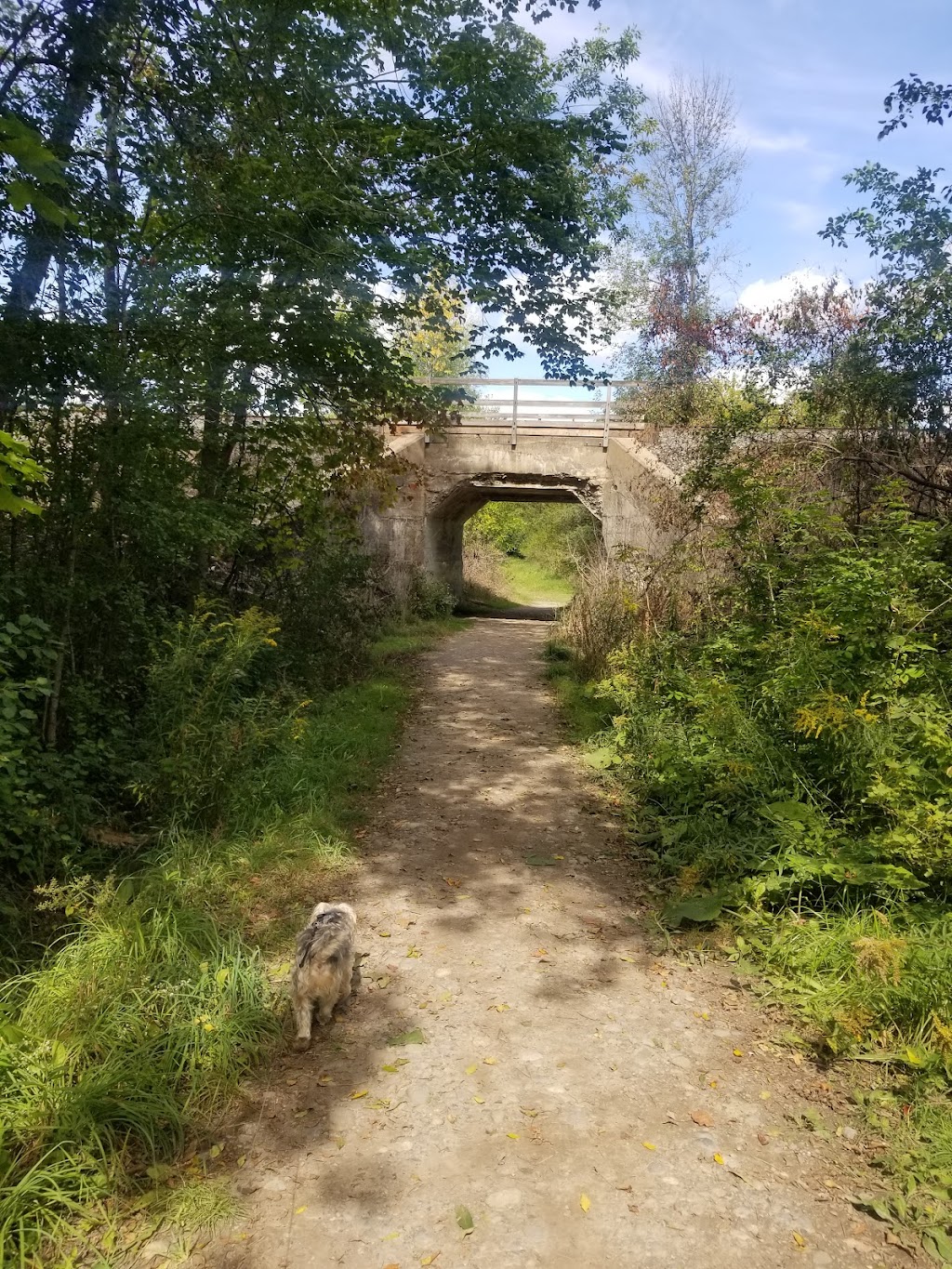 Potters Creek Conservation Area | 2061 Old Highway 2, Belleville, ON K8N 4Z2, Canada | Phone: (613) 968-3434