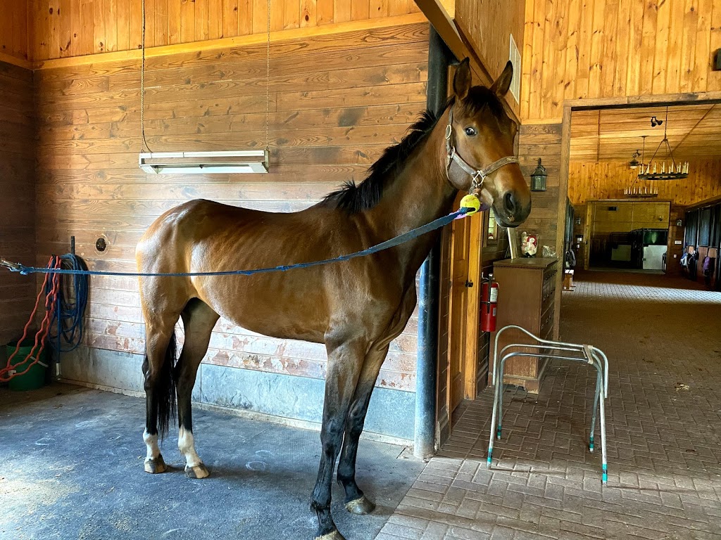 Halton Place Horse & Country | 9328 15 Side Rd, Milton, ON L9T 2X7, Canada | Phone: (905) 873-2316