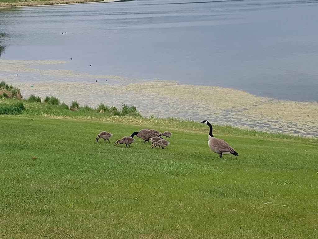 Cranna Lake - 1V1, 42 Woodland Dr, Lacombe, AB T4L 1V5, Canada