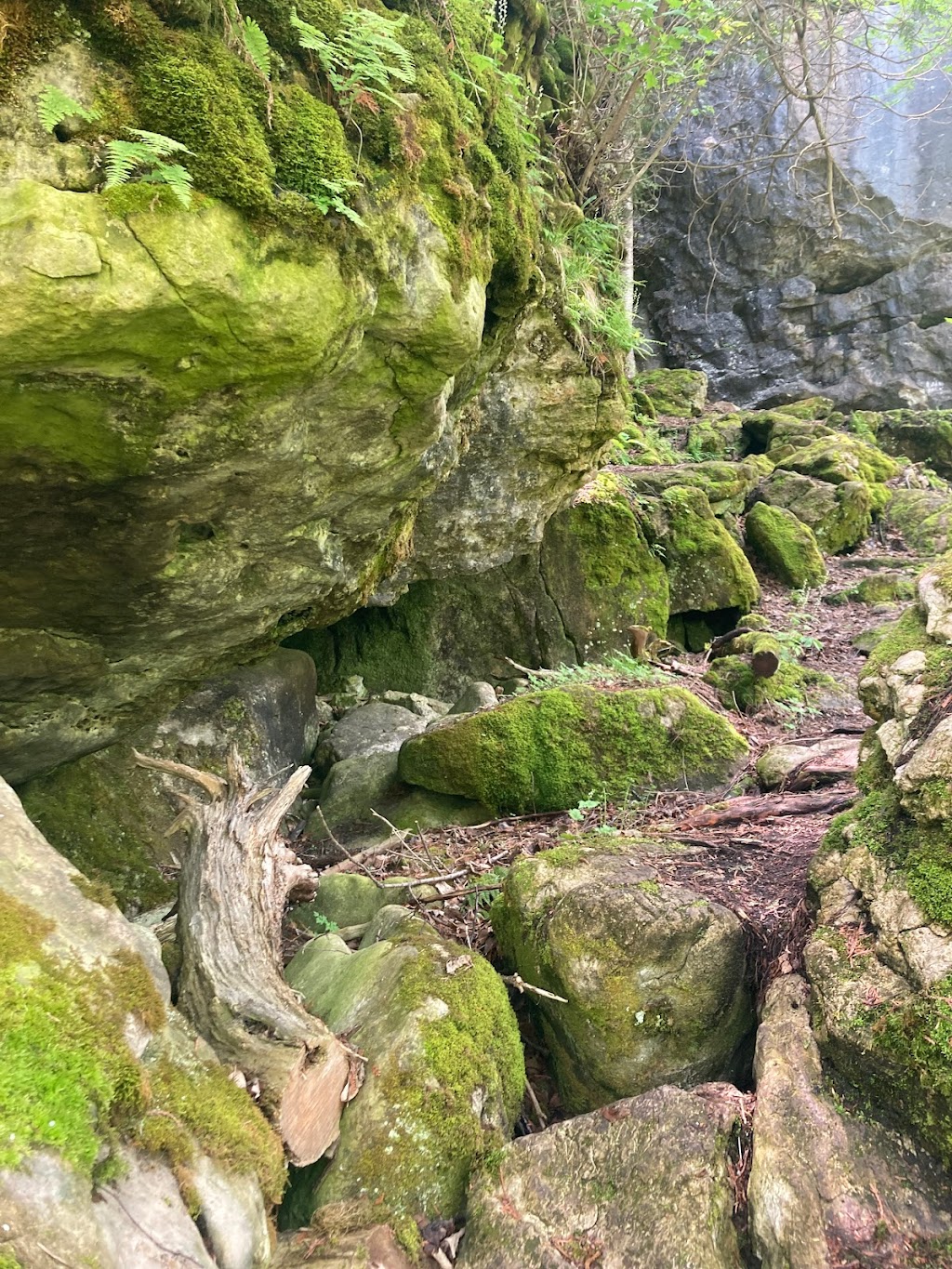 Bruces Caves Conservation Area | Grey Rd 1, Wiarton, ON N0H 2T0, Canada | Phone: (519) 376-3076