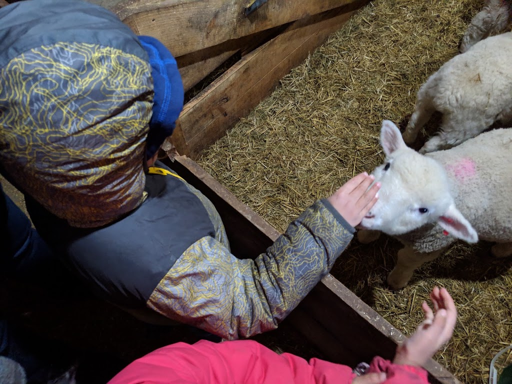 DeJong Acres | 463028 Concession Rd 24, Wiarton, ON N0H 2T0, Canada | Phone: (519) 379-7728