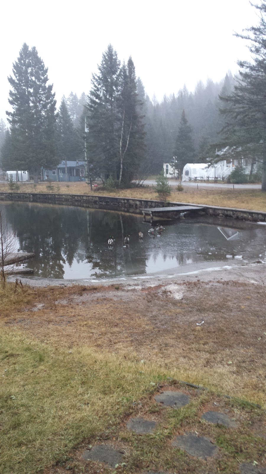 Domaine La Belle Etoile Inc | 3121 1er Rang de Doncaster, Val-David, QC J0T 2N0, Canada | Phone: (819) 322-3207