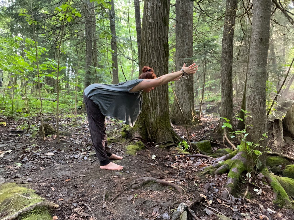 Yoga Nature Cours Plein Air | 1095 Rue du Geai-Bleu, Saint-Jérôme, QC J5L 1E5, Canada | Phone: (514) 258-8413