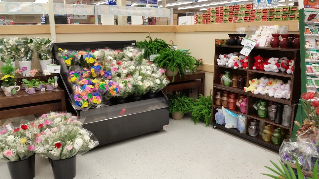 Foodland - Carbonear | 8 Goff Ave, Carbonear, NL A1Y 1A6, Canada | Phone: (709) 596-0659