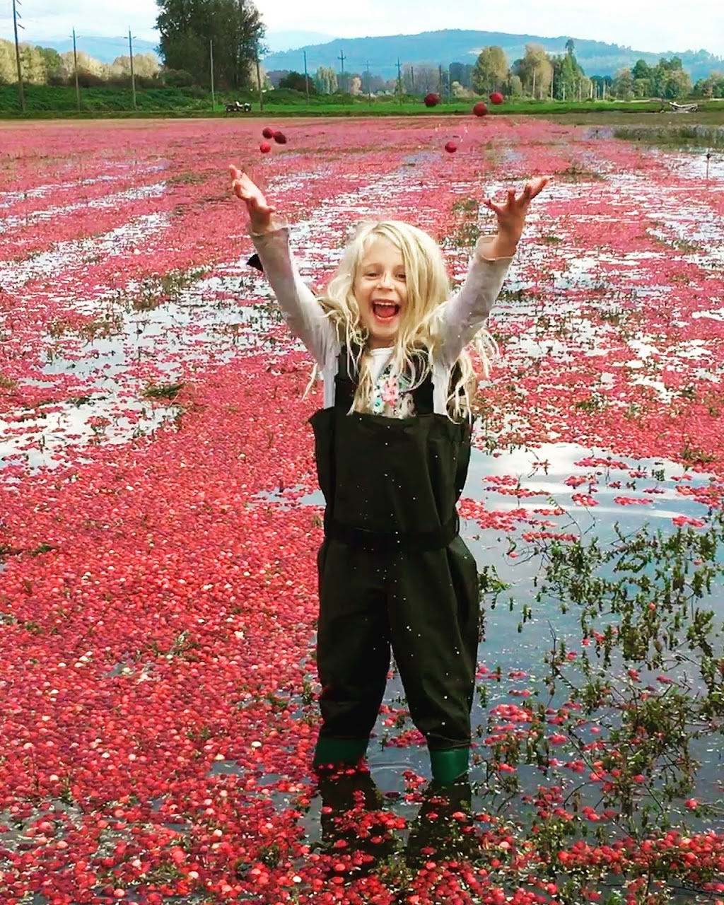 THE BOG Riverside Cranberry Farm | 26885 88 Ave, Langley City, BC V1M 3L8, Canada | Phone: (604) 614-7625