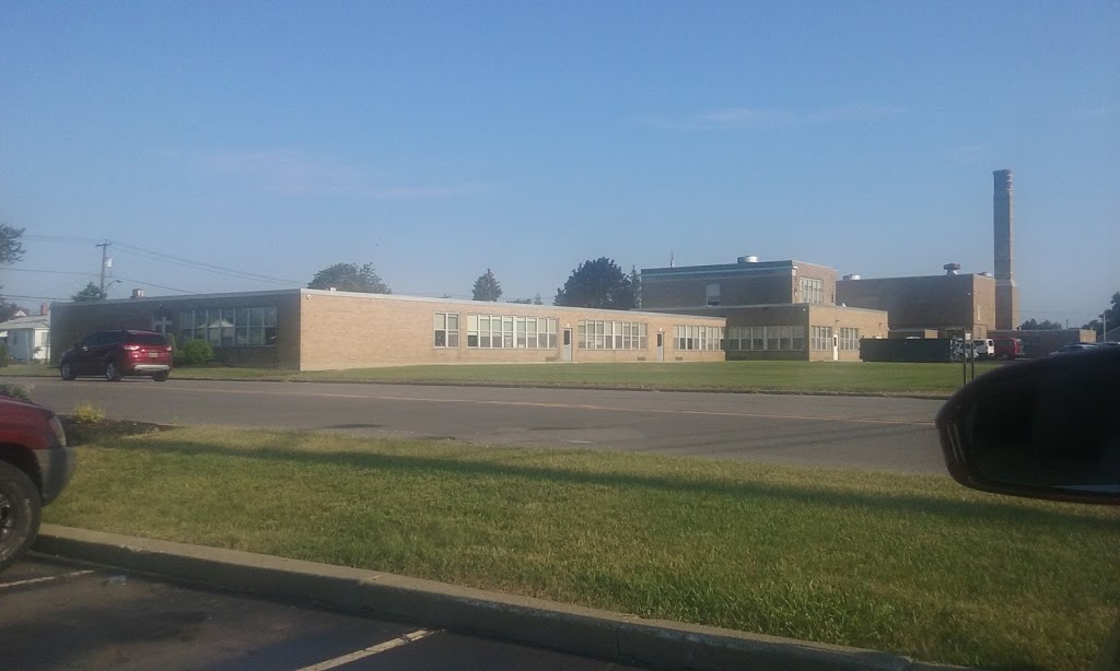 Stanley G Falk School | 31 Rossler Ave, Buffalo, NY 14206, USA | Phone: (716) 894-3892