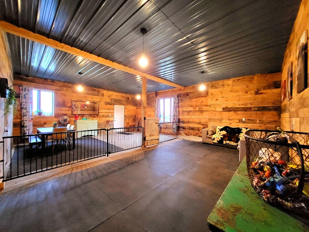 Creekside Kennels | 2878 ON-60, Township Of Horton, ON K7V 3Z6, Canada | Phone: (613) 570-4328