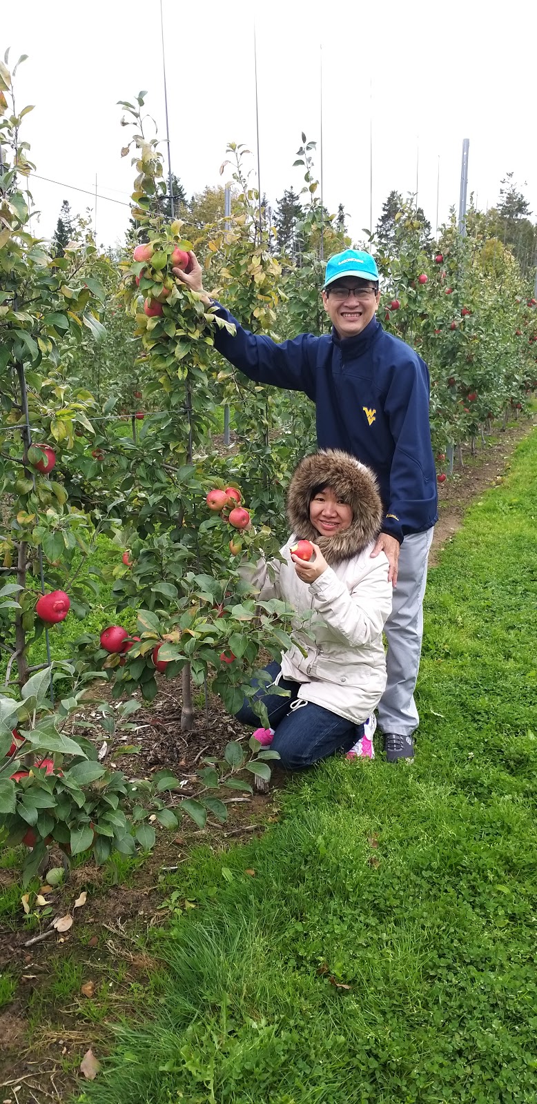 The Grove Orchard And U-Pick | 2100 PE-248, Warren Grove, PE C0A 1H5, Canada | Phone: (902) 628-7434