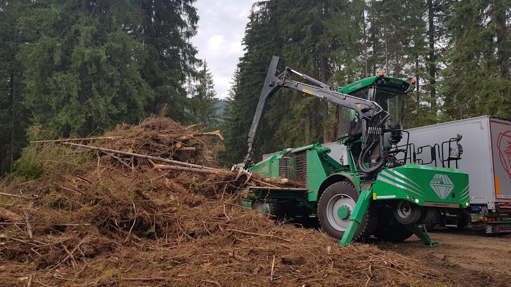 Tree Tech, Tree and Property Maintenance Specialists Inc. | 140 Clarke St, Mitchell, ON N0K 1N0, Canada | Phone: (519) 301-2058