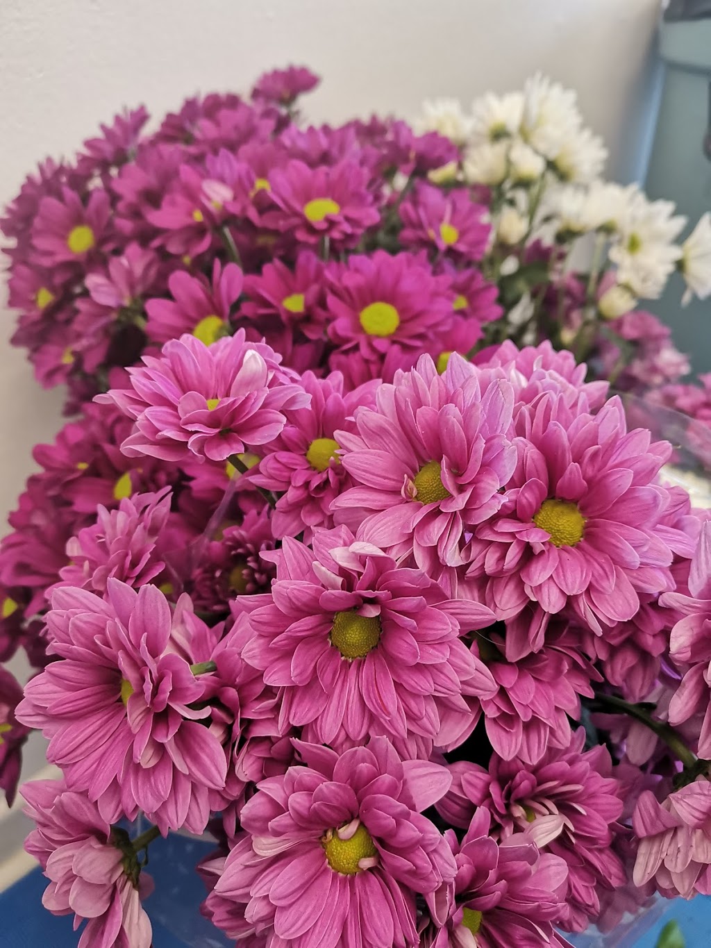 Fleuriste FlauraMex | 387A Boulevard Cartier O, Laval, QC H7N 2K6, Canada | Phone: (450) 973-8028