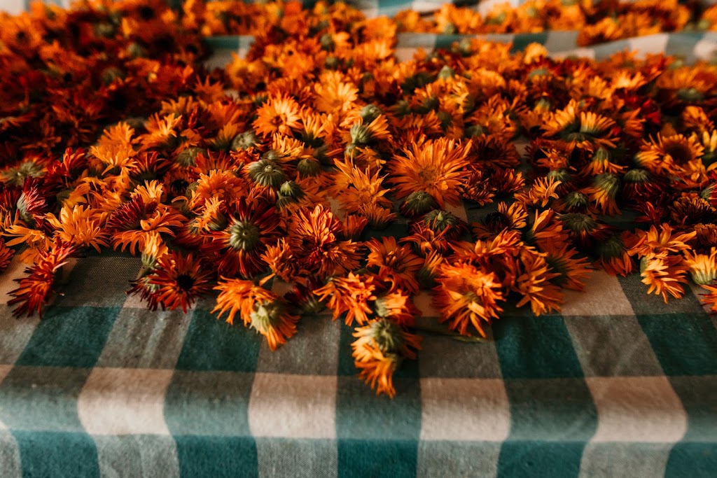 Mingle Hill Farms | 2625 Mountain Rd, Saint Anns, ON L0R 1Y0, Canada | Phone: (905) 745-4254