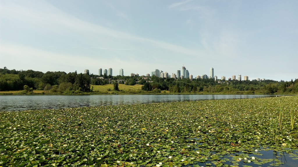 Deer Lake Gallery | 6584 Deer Lake Ave, Burnaby, BC V5G 3T7, Canada | Phone: (604) 298-7322