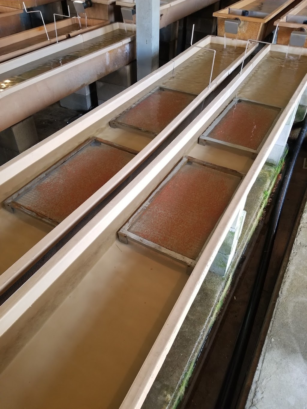 Pisciculture Lac Carre Inc | 1151 Rue Principale, Saint-Faustin--Lac-Carré, QC J0T 1J3, Canada | Phone: (819) 688-2030